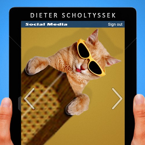 Book Cover for "Why is there a Cat on my Ceiling Fan?" Design by Underrated Genius