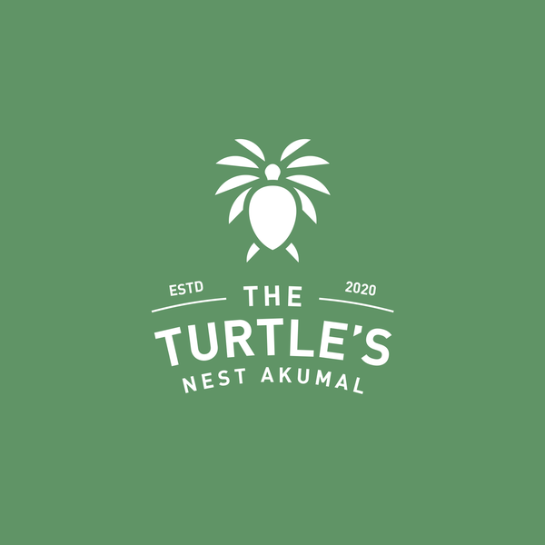 turtle and coco tree