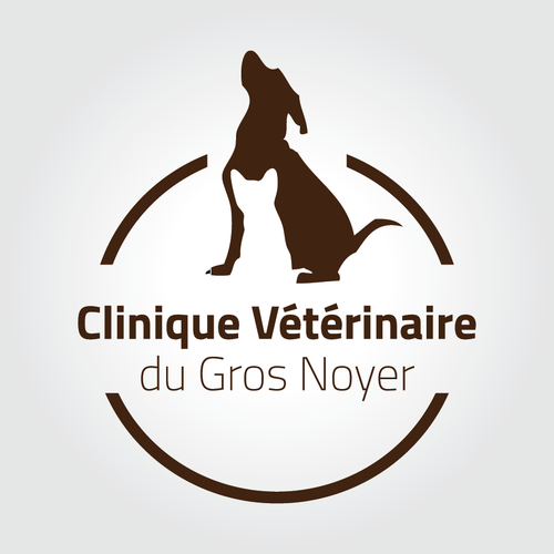 Logo design contest entry by olaeusouaana