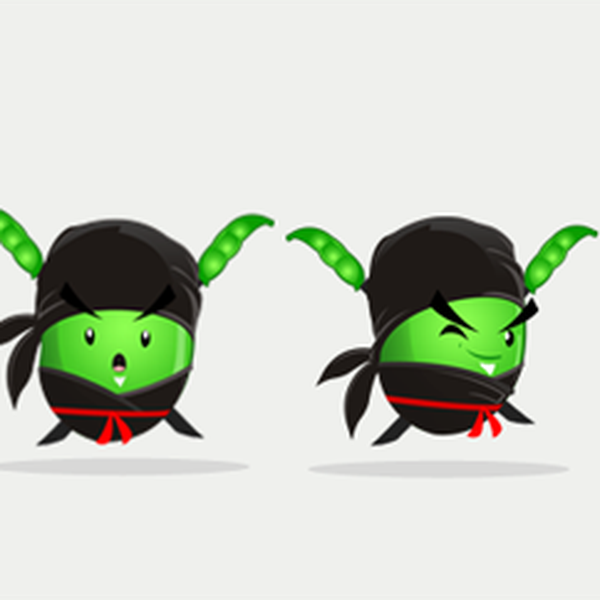 Character Brand Design "THE EDAMAME NINJA"