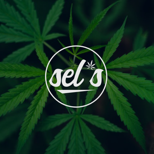  contest entry by jordan61