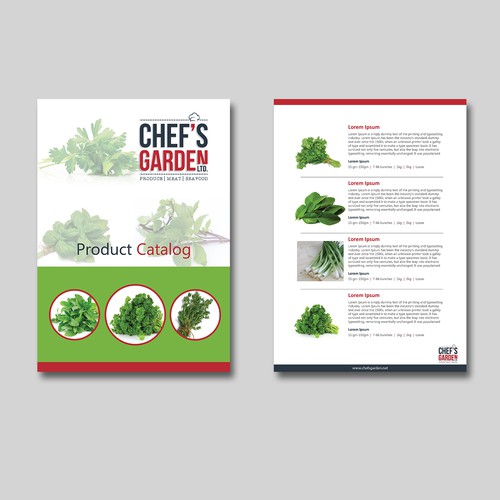 Brochure contest entry by kousik851