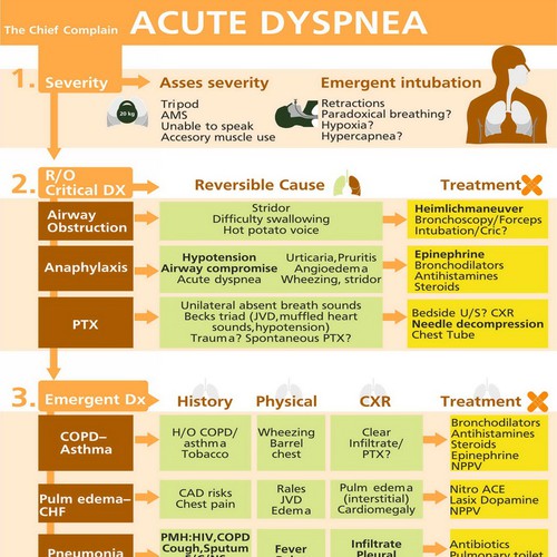 Infographic/Algorithm for ER doctors to improve patient care Design by HideSell