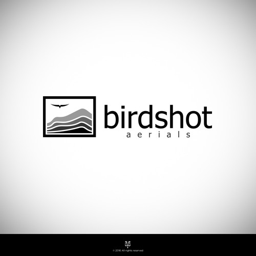 Create a high-flying view for Birdshot Aerials Design by Mastah Killah 187