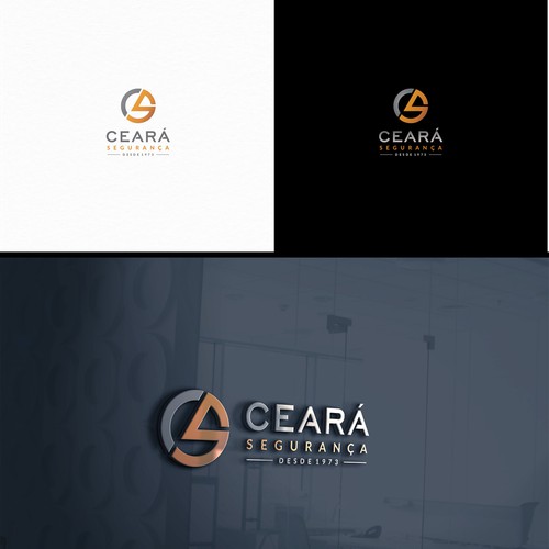 Security and Cash in Transit Company Needs a Modern and Powerful Logo Design por ZISSOU DESIGNS