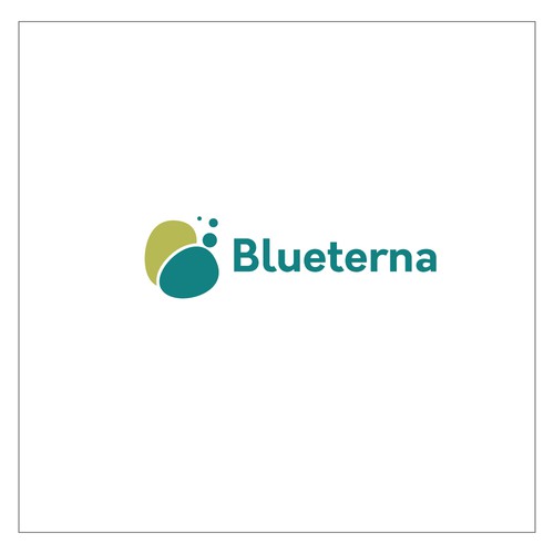Blueterna Branding contest Design by ShiipArt ✅