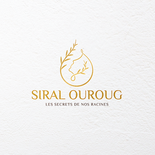  contest entry by airdesigns24