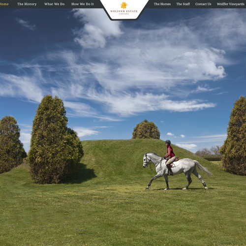 Web page design contest entry by Jas14