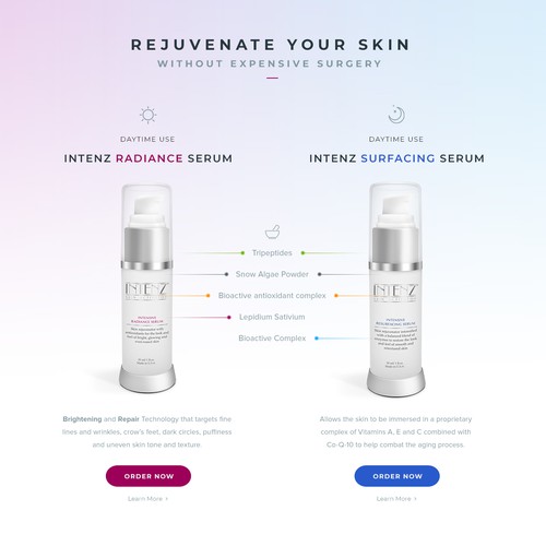 Web page design contest entry by gegen