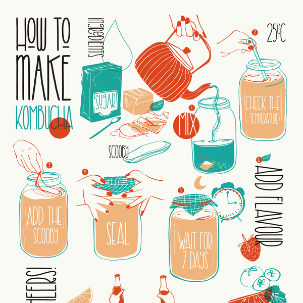 How to make Kombucha poster.
