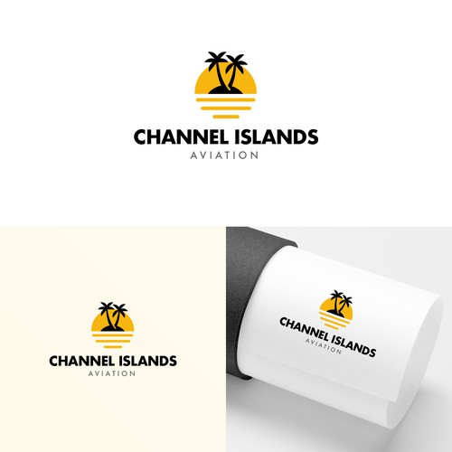 Classic Youthful Flight School catering to future pilots and luxury jet owners Design by Creative Lab™