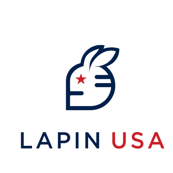 Design by GandemNan titled "lapin usa"
