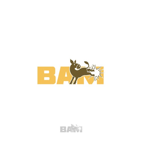 BAM *updated 6/12 read brief Design by Dendir