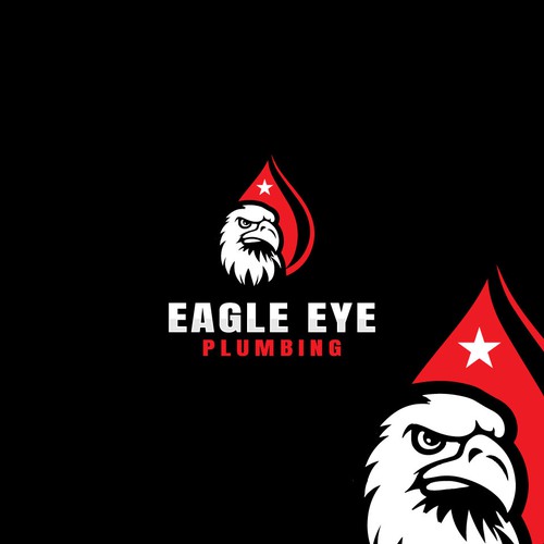 Eye catching and very marketable logo for plumbing company. The company name is Eagle Eye Plumbing Design by JakirVector