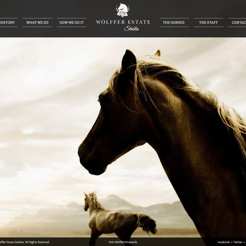 Web page design contest entry by Ramanthis