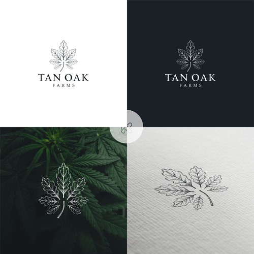 Design a logo for a family run legal cannabis farm! Design by kerman