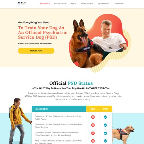 How Do I Train My Dog To Be A Selective Dog