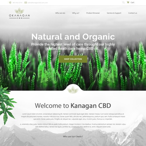 WordPress theme design contest entry by Wonder*