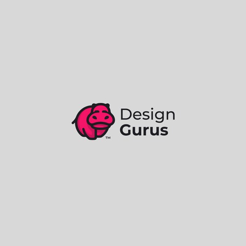 DesignGurus.com  --  NEW AGENCY Design by VisibleGravity™