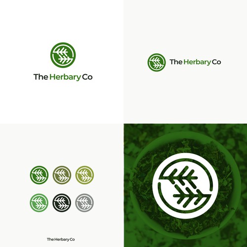 Design a modern logo for a dispensary Design réalisé par Redsoul™