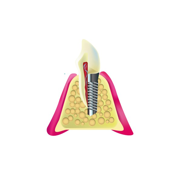 Design by Kapica Pawel titled "Dental Illustration"