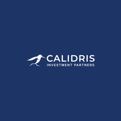 New Private Investment Firm Design by LOGStudio