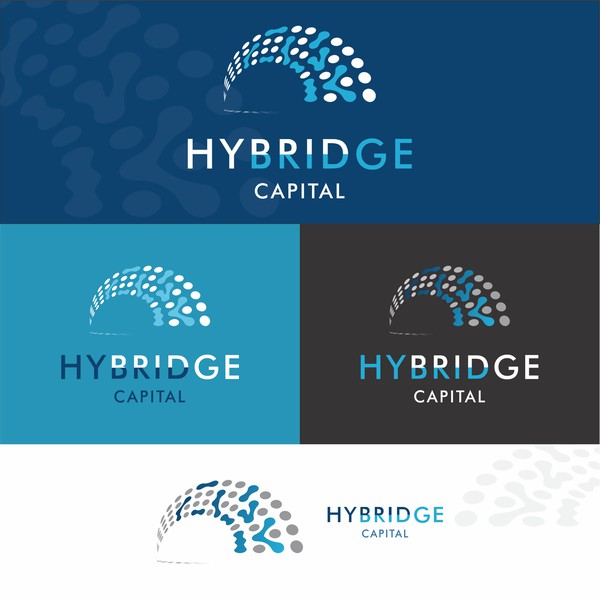 HYBRIDGE CAPITAL LOGO