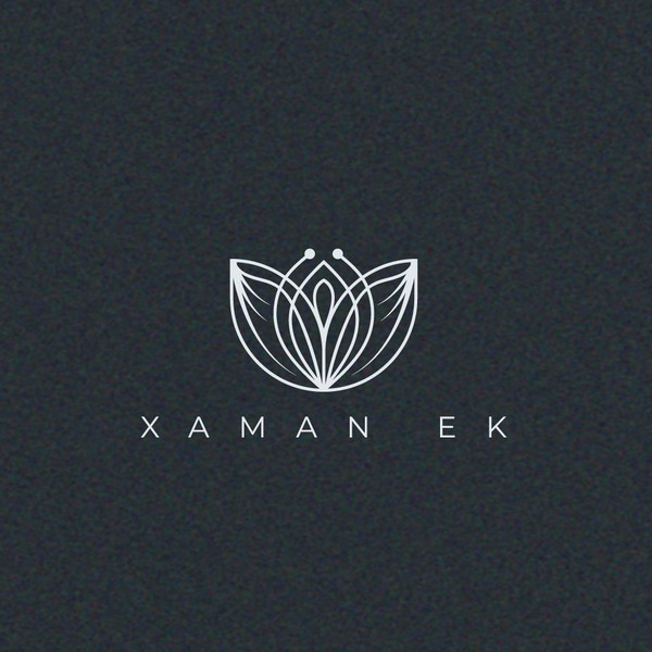 Xaman logo design