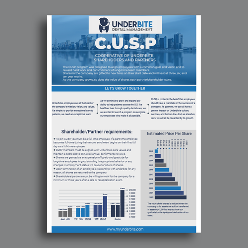 Company Stock Grant Plan Infographic Flyer/document Réalisé par SeemabArt