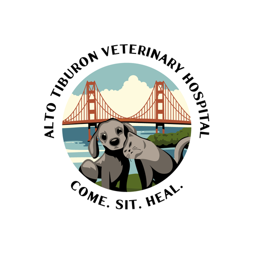 Fun Veterinary Hospital Logo Design by MFriederich
