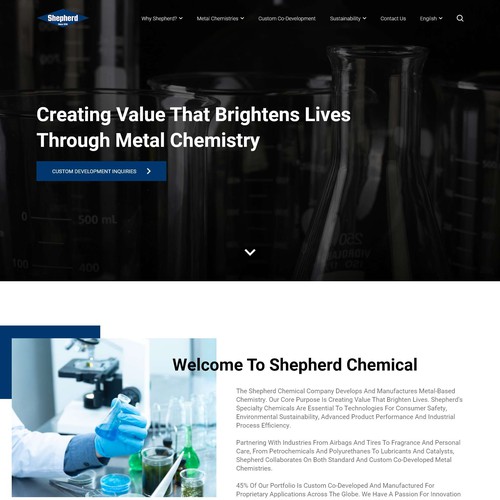 Chemical Company looking for Homepage Facelift Design by M Mahdi