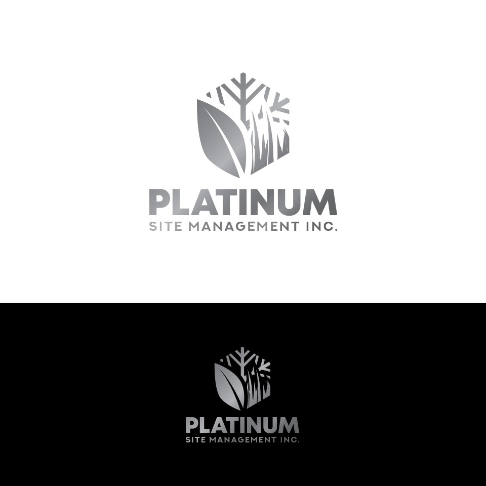 Platinum Logos - Free Platinum Logo Ideas, Design & Templates