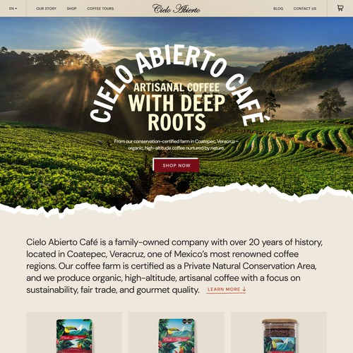 Web page design contest entry by FuturisticBug