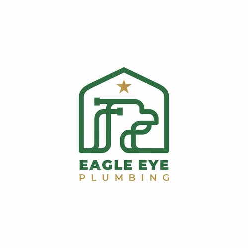Eye catching and very marketable logo for plumbing company. The company name is Eagle Eye Plumbing Design by @GadjahDesign