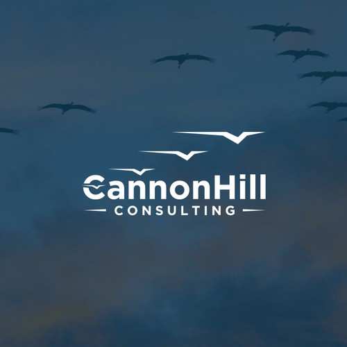 Intelligent Data Migration by Tech Experts Design by Kenebae