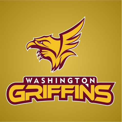 Community Contest: Rebrand the Washington Redskins  Design by mgeorge