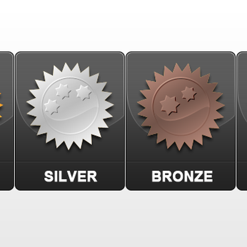 Subscription Level Icons (i.e. Bronze, Silver, Gold, Platinum) Design by Dana Chichirita