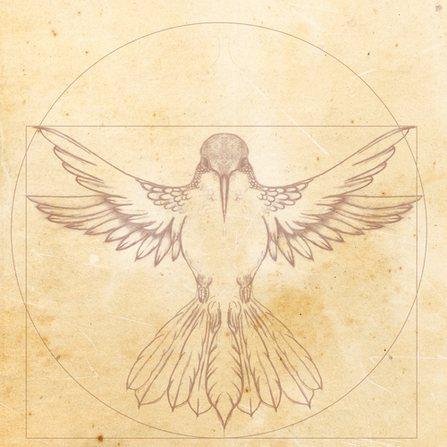 Leonardo da Vinci - Hummingbird Drawing Design von JOHNN L. JONES
