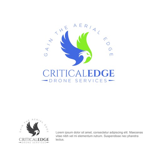 We need a logo design for new Drone inspection and survey company Design by hasnagraphics