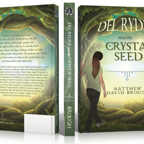 Design Create an eye catching book cover for middle grade fantasy adventure, Del Ryder and the Crystal Seed di RoseannaWhiteDesigns