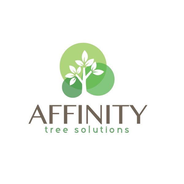 Rebrand my tree business- let's start with a logo! 