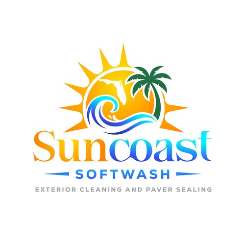 A logo for a softwash company that is appealing and inviting Design by Parbati