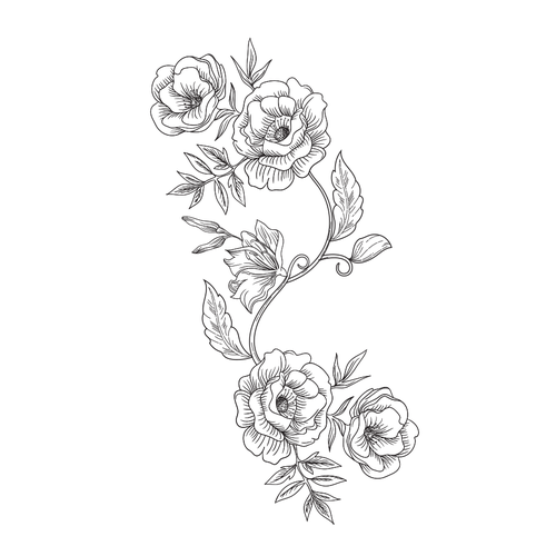 rose vines drawing