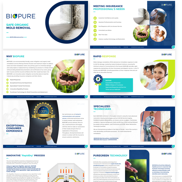 Pitch deck with custom Infographic for BIOPURE
