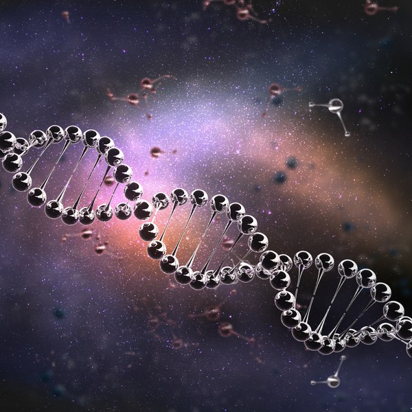 DNA Double Helix 