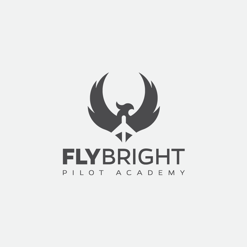 Flight School - High quality career track and recreational flight training. Design by Luel