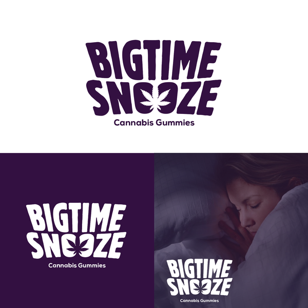 Bigtime Snooze Logo