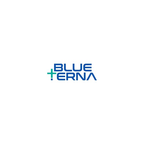 Blueterna Branding contest Design by DZL24