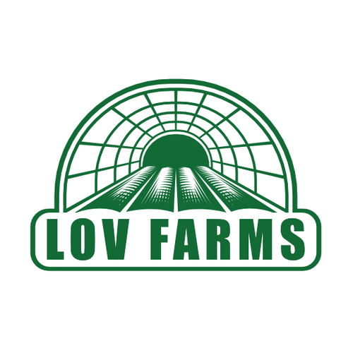 Modern/Abstract logo for small upstate NY vegetable farm. Design by metaXsu