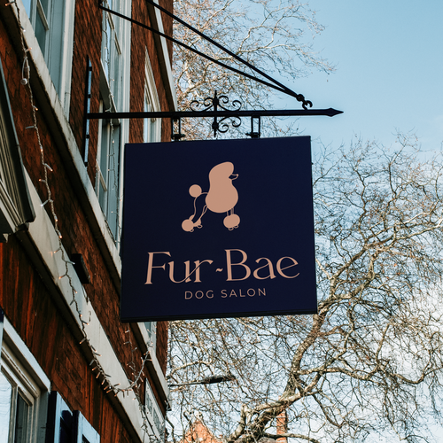 Design a logo/branding for Fur-Bae (slogan: Before Anything Else) luxury dog wellness/lifestyle biz Design by Lee Chatte